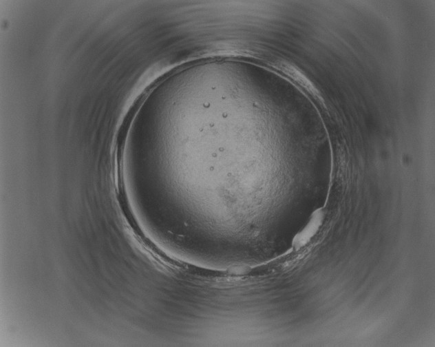 X0000068851132200605081208