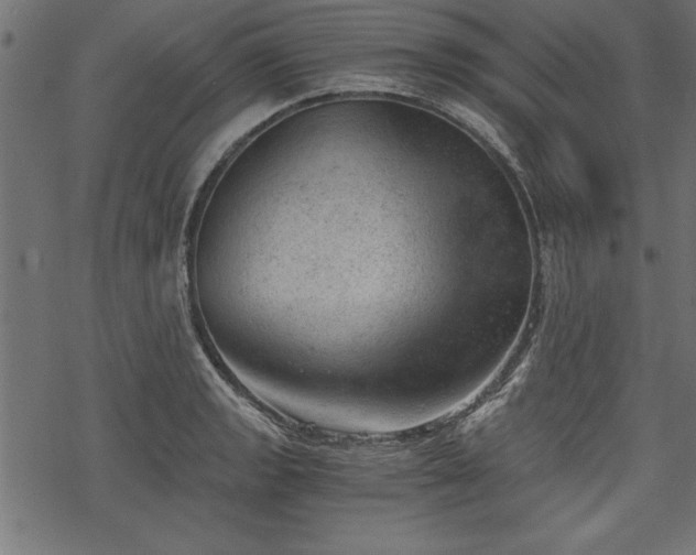 X0000068851133200605081208