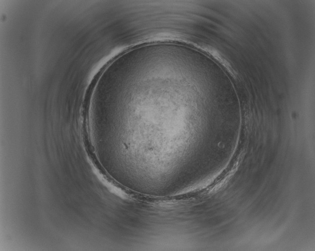 X0000068851134200605081208