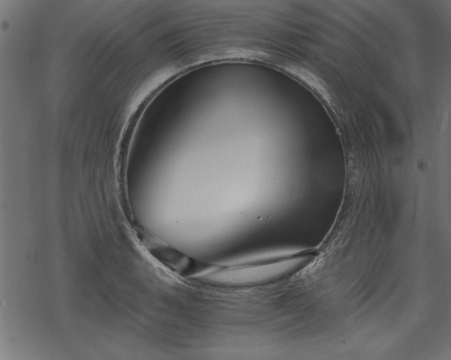 X0000068851135200605081208