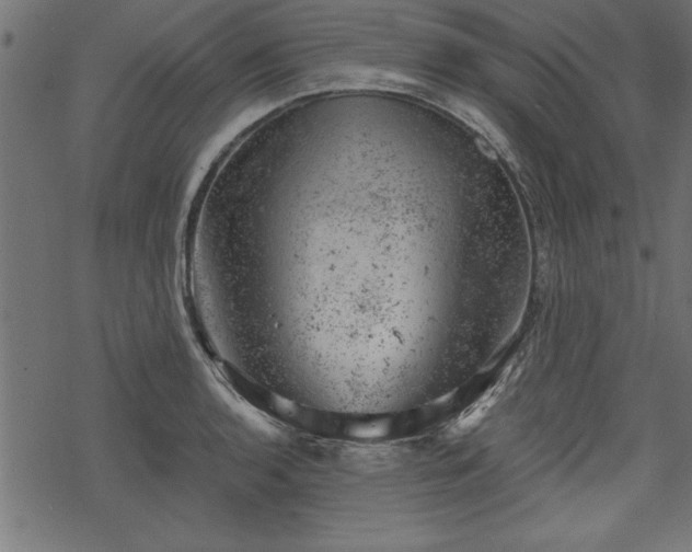 X0000068851136200605081208