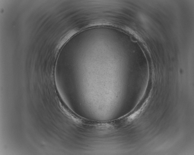 X0000068851137200605081208