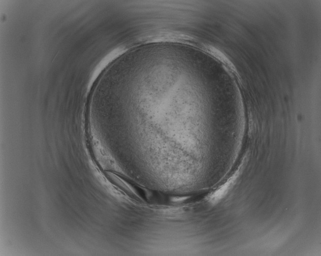 X0000068851138200605081208