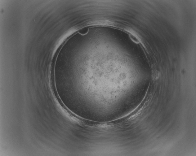 X0000068851139200605081208