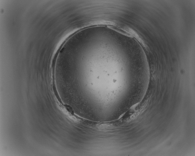 X0000068851140200605081208