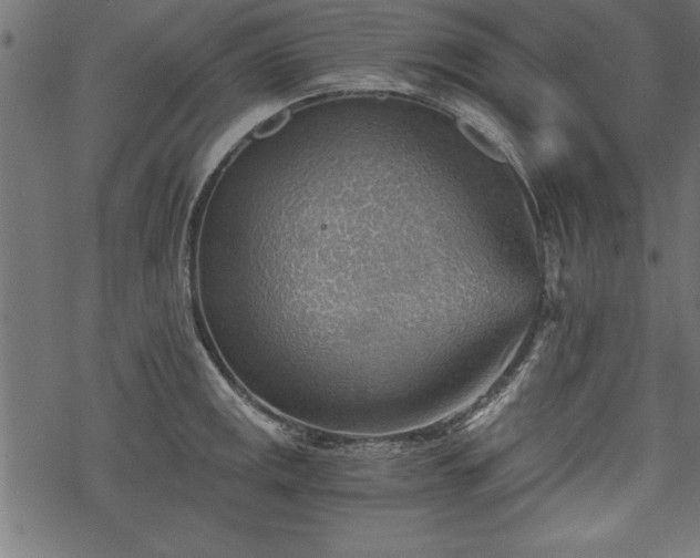 X0000068851141200605081208