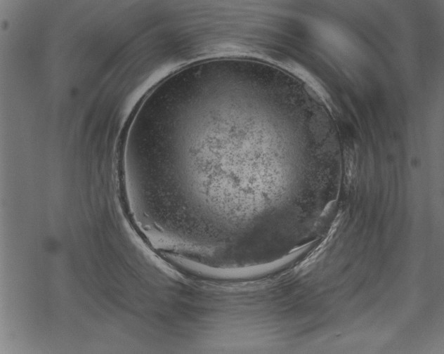 X0000068851142200605081208