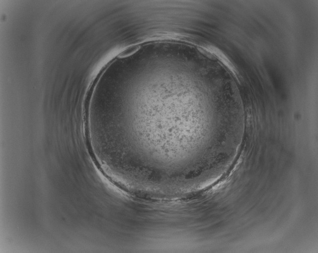 X0000068851143200605081208