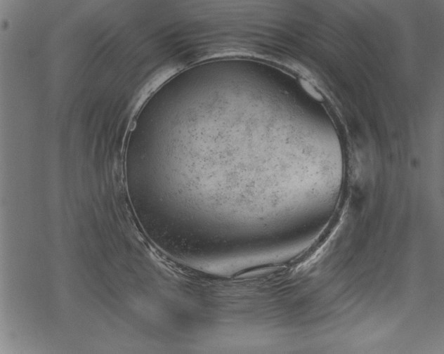 X0000068851145200605081208