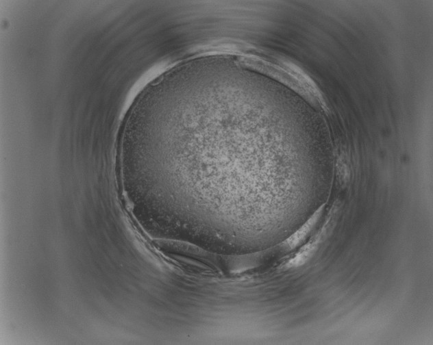 X0000068851146200605081208