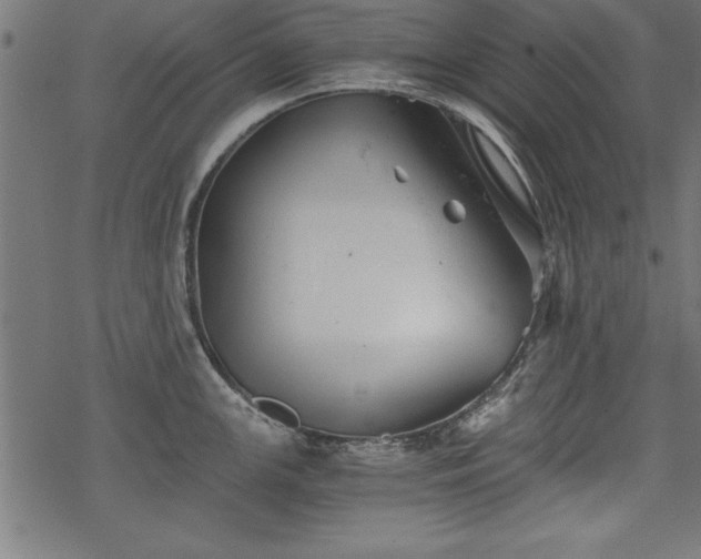 X0000068851147200605081208