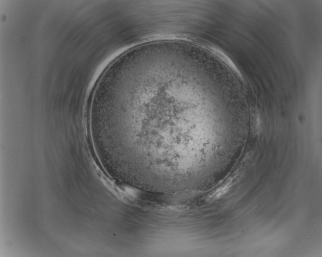 X0000068851148200605081208