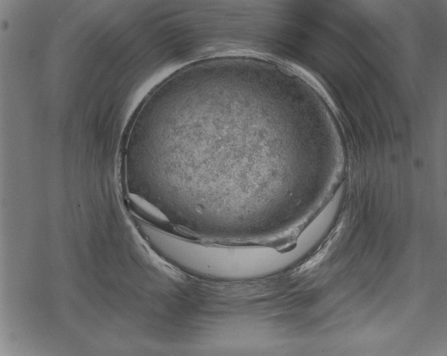 X0000068851149200605081208