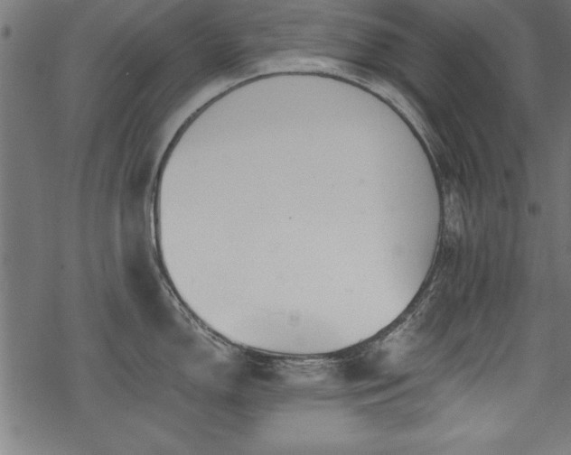 X0000068851150200605081208