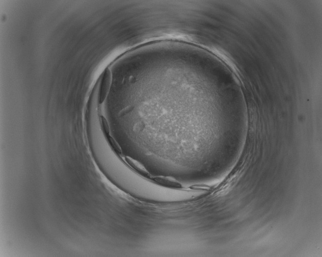 X0000068851151200605081208