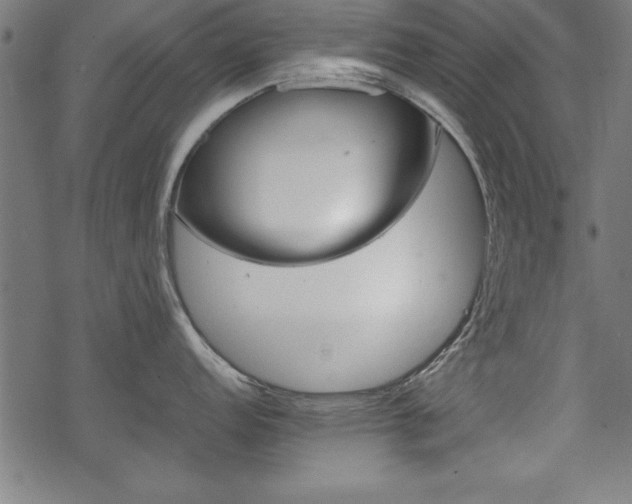 X0000068851152200605081208