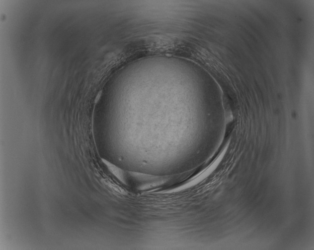 X0000068851153200605081207