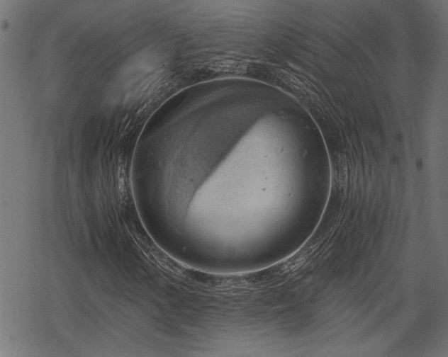 X0000068851154200605081207