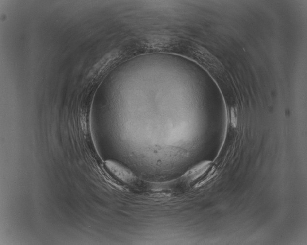 X0000068851155200605081207