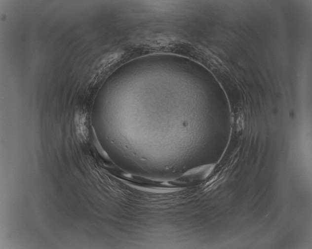 X0000068851156200605081207