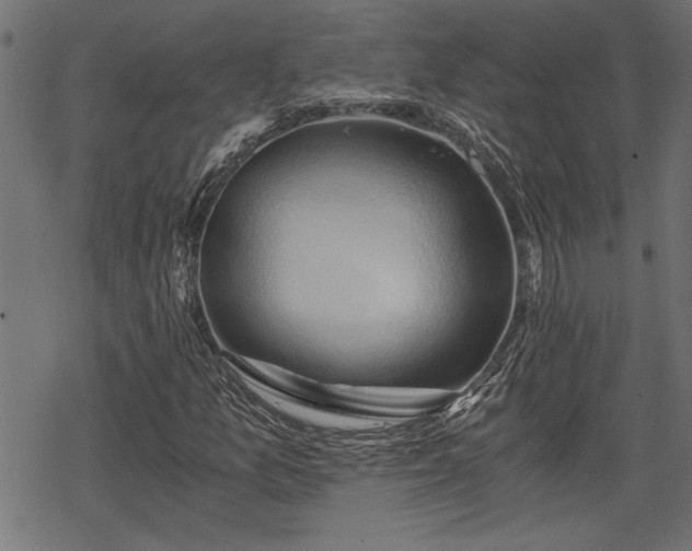 X0000068851157200605081207