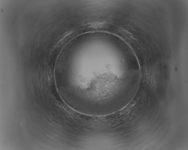 X0000068851158200605081207