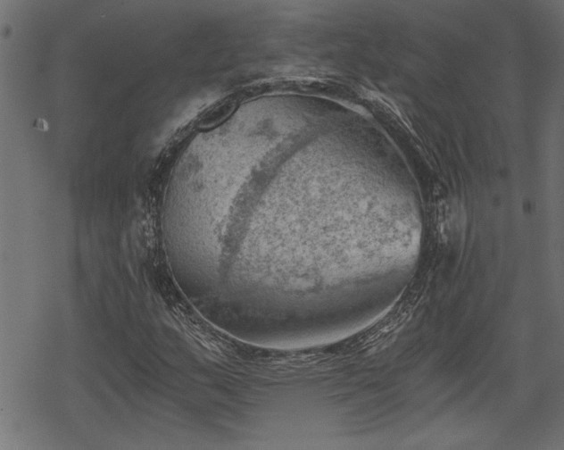 X0000068851159200605081207