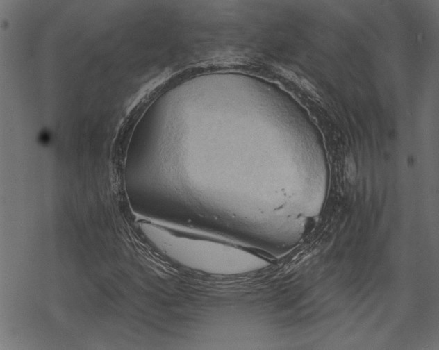 X0000068851160200605081207