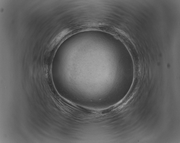 X0000068851161200605081207