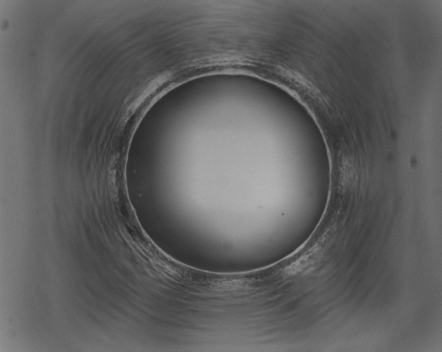 X0000068851162200605081207