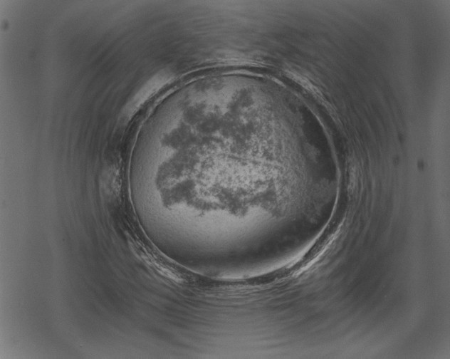 X0000068851163200605081207