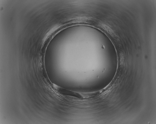 X0000068851164200605081207