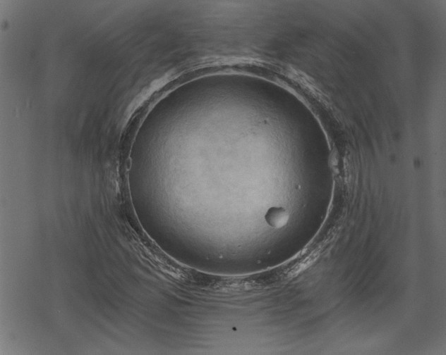 X0000068851165200605081207