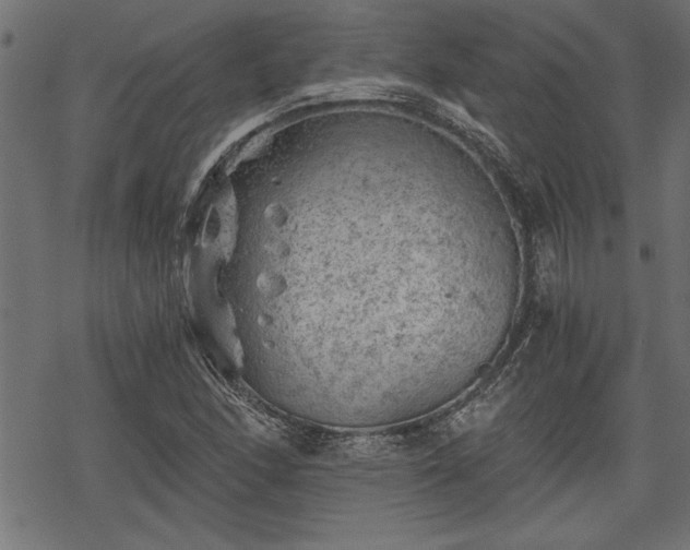 X0000068851166200605081207