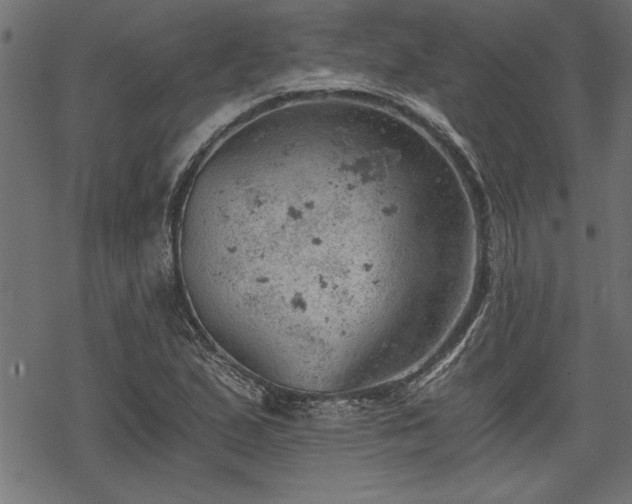 X0000068851167200605081207