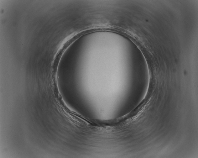 X0000068851168200605081207