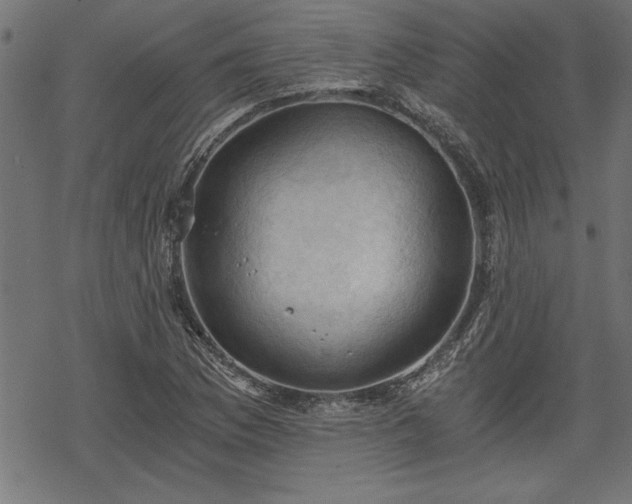 X0000068851169200605081207