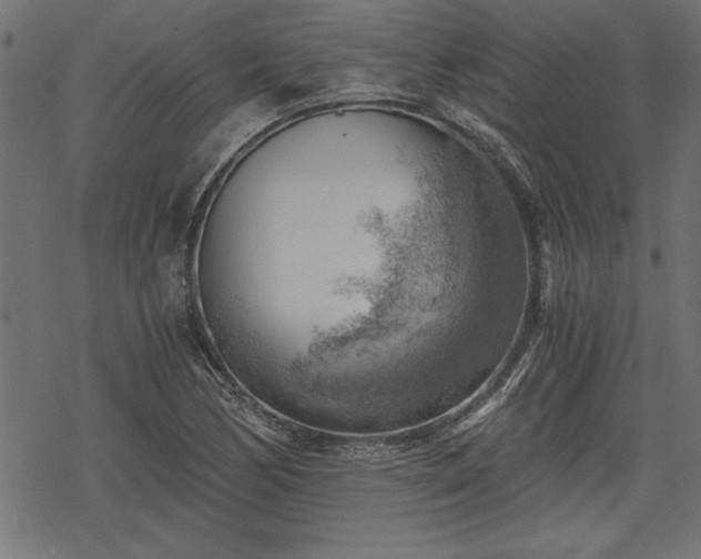 X0000068851170200605081207