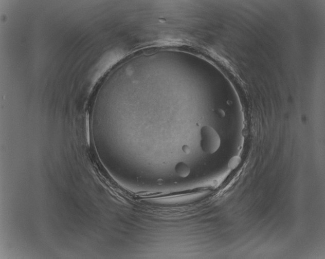 X0000068851171200605081207