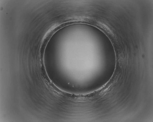 X0000068851172200605081207