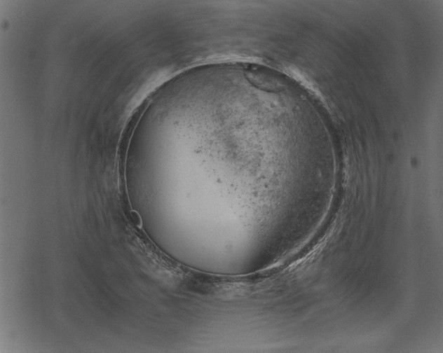 X0000068851173200605081207