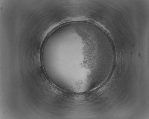 X0000068851174200605081207