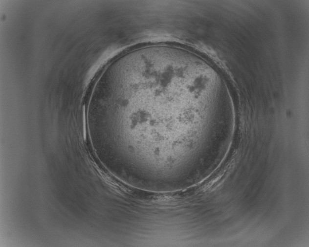 X0000068851175200605081207