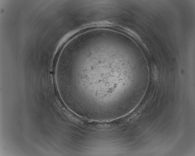 X0000068851176200605081207