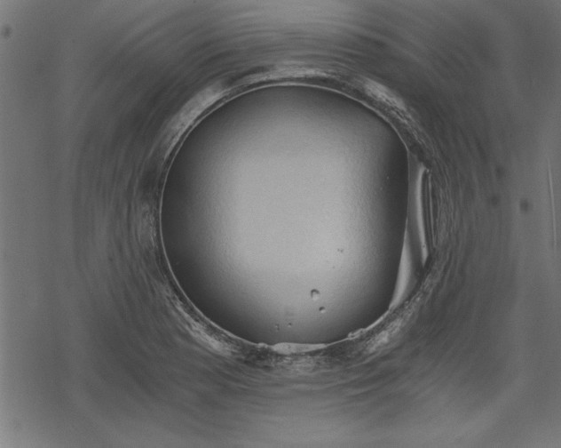 X0000068851177200605081207