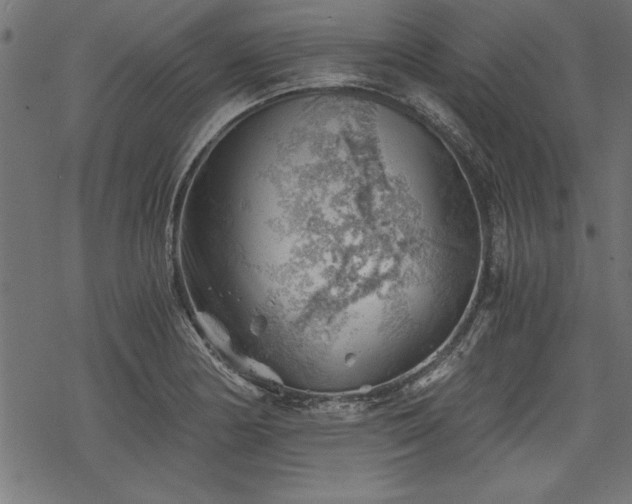 X0000068851178200605081207