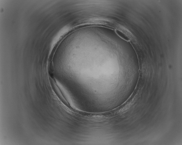 X0000068851180200605081207