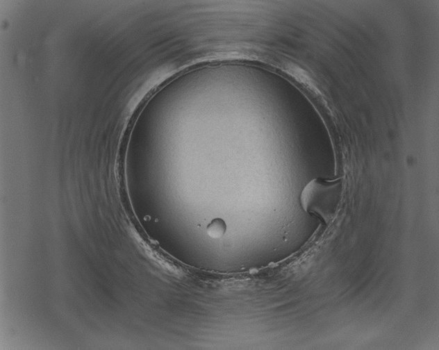 X0000068851181200605081207