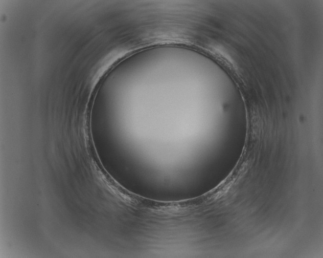 X0000068851182200605081207