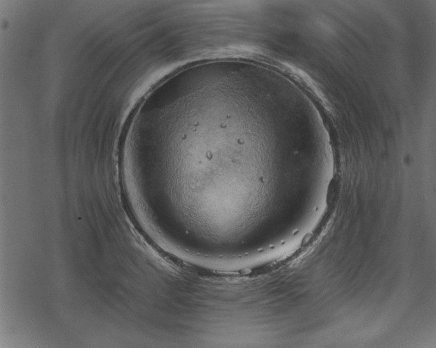 X0000068851184200605081207